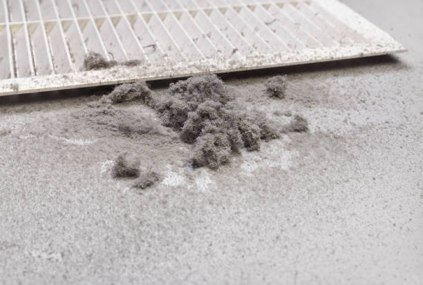 Best Air Duct Cleaning Company Near Me  in Brownsboro, TX