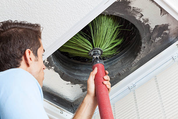 Best Air Duct Mold Removal  in Brownsboro, TX